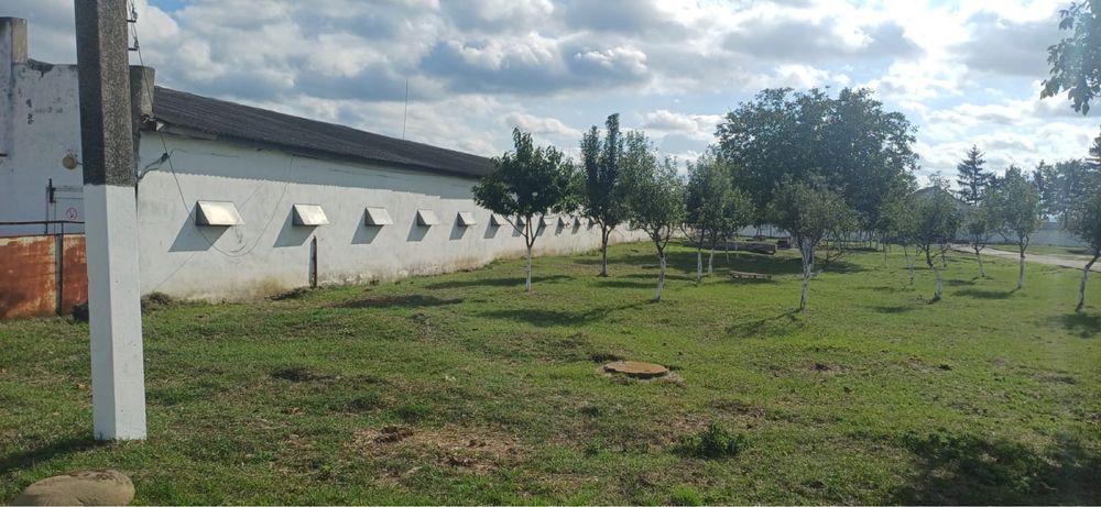 Комерційна нерухомість за адресою вул. Капеланська (площа 40000 м²) - Atlanta.ua - фото 4