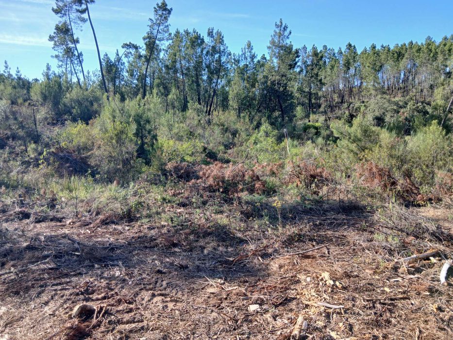 Terrano Rustico a venda || Rustic/Off-Grid Land for Sale