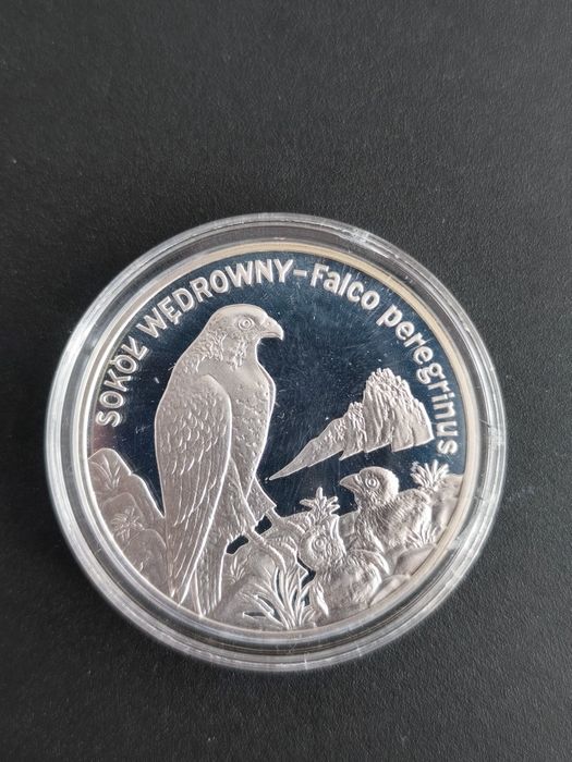 Nr2 20zł Sokół Wędrowny 2008r Ag925