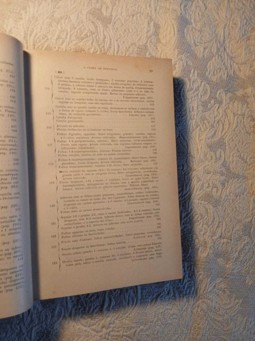 António Xavier Pereira Coutinho, Flora de Portugal (1ª Edição 1913)