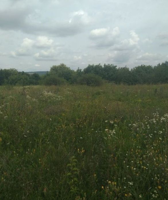 Продається земельна ділянка.