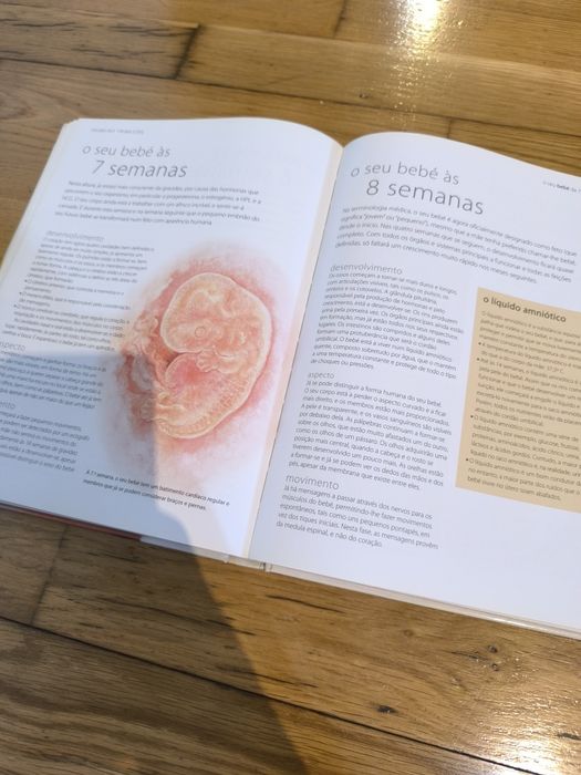 Livro manual de gravidez