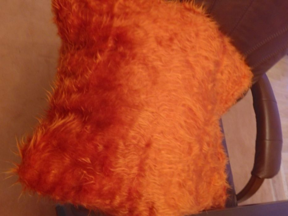 *Nowy* , czeski kupon misia