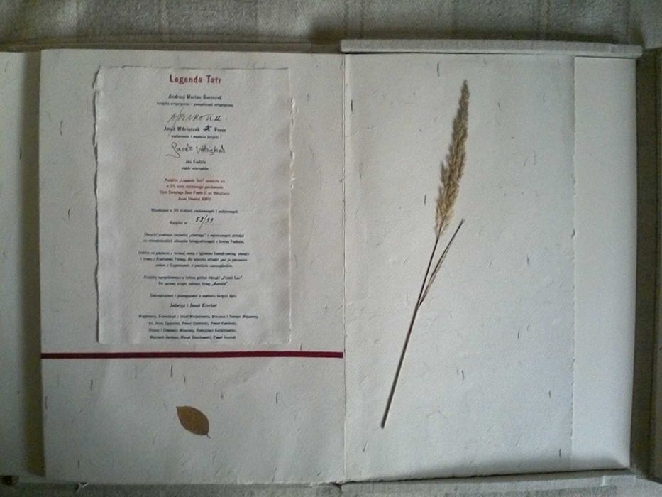 Papież JP ll  książka