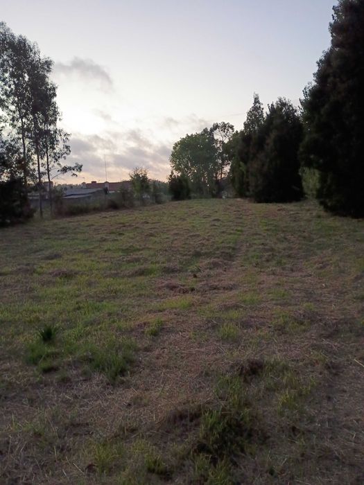 Grande Terreno 2745 M2 - Monte Arcado, Covoes