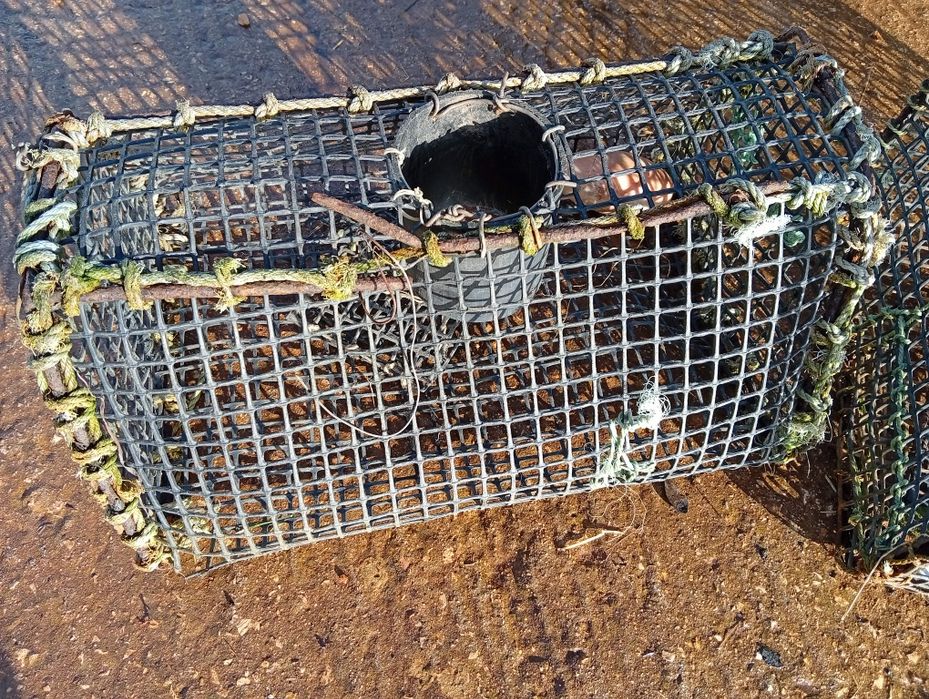 Vende se caixas de pesca por 18€ as duas juntas