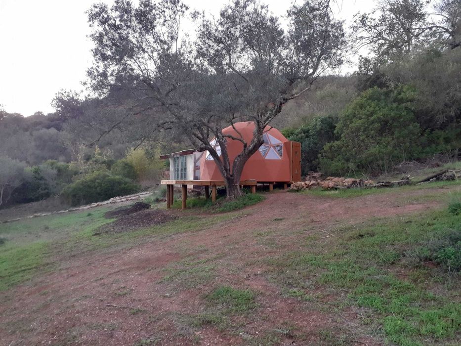 Limpeza de terrenos/podas/gestão de águas pluviais, muros