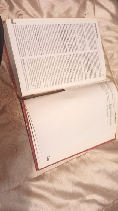Encyklopedia szkolna. Język polski - wydawnictwo GREG