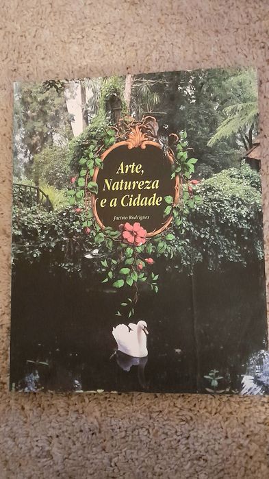 Arte Natureza e A Cidade de Jacinto Rodrigues