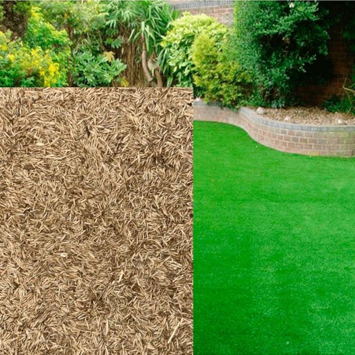 Семена газона универсального