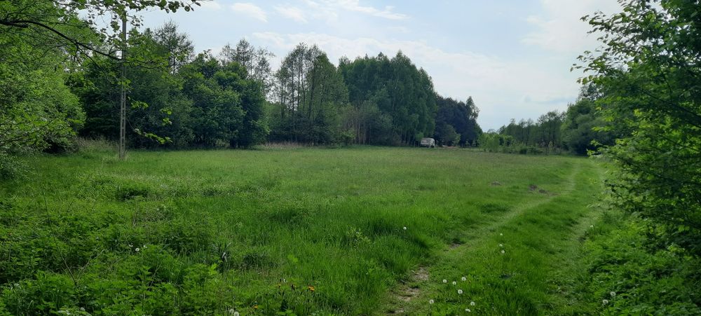 Działka rekreacyjna - Więcej