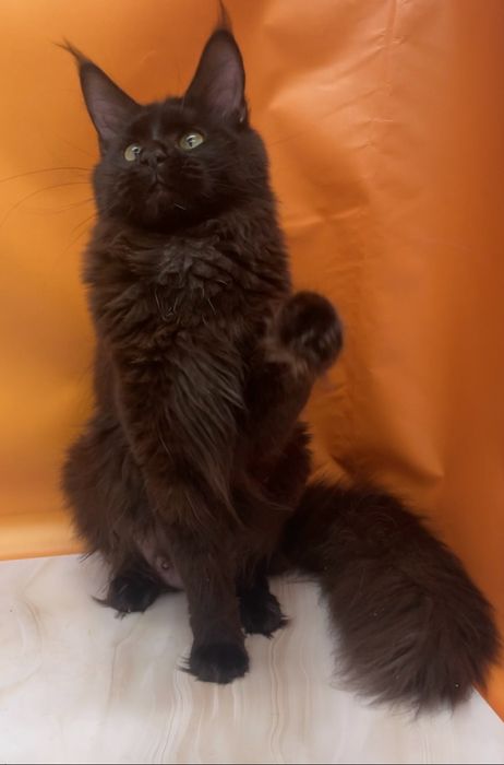 Девочка один год