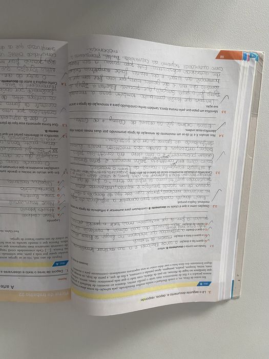 Caderno de atividades Historia sete da Raiz editora