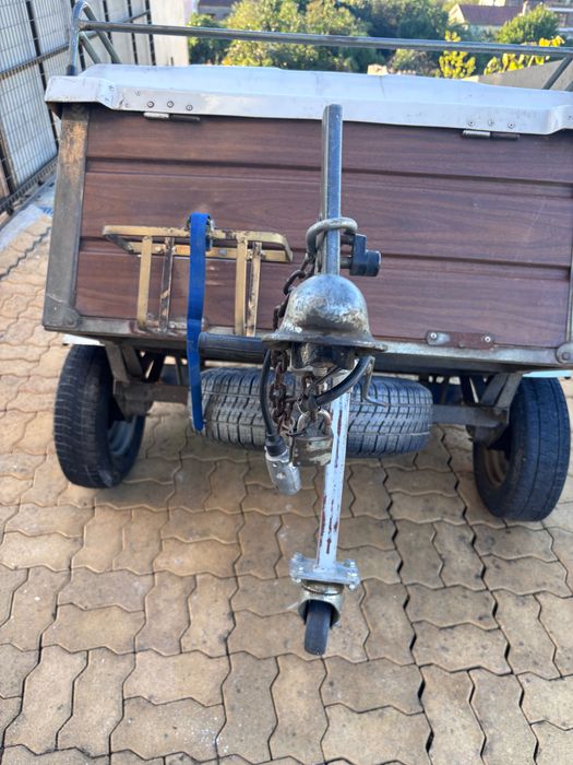 Atrelado transporte de cães