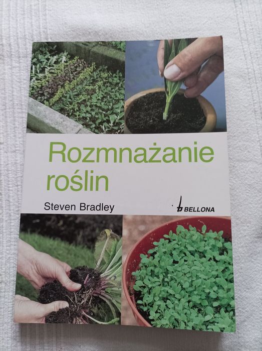 Rozmnażanie roślin