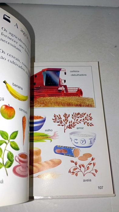 A Terra - A Minha Primeira Enciclopédia Larousse