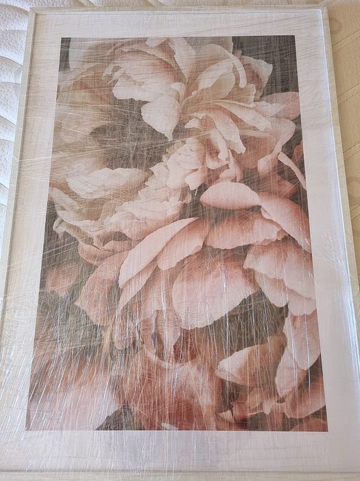 Coral Sunset Art Print with Frame64552913465603121