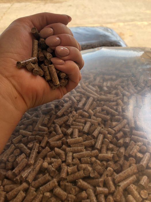 Pellet pelet sosnowy 6 mm lokalny producent pellet drzewny