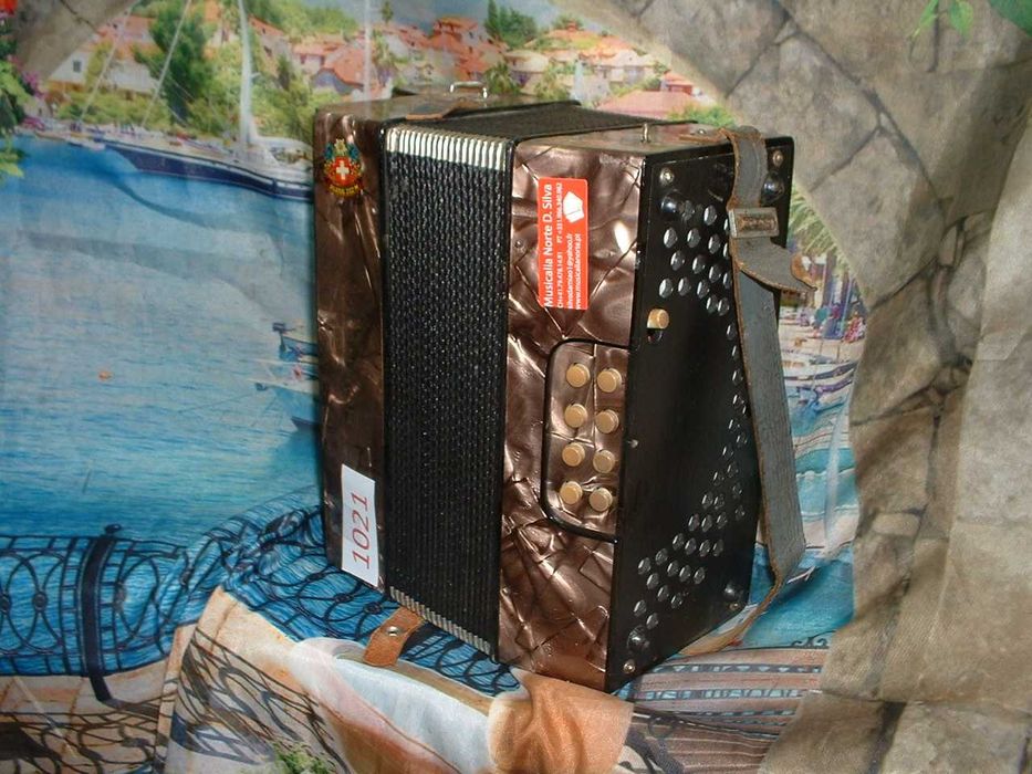 Promoção de Acordeões de concertinas