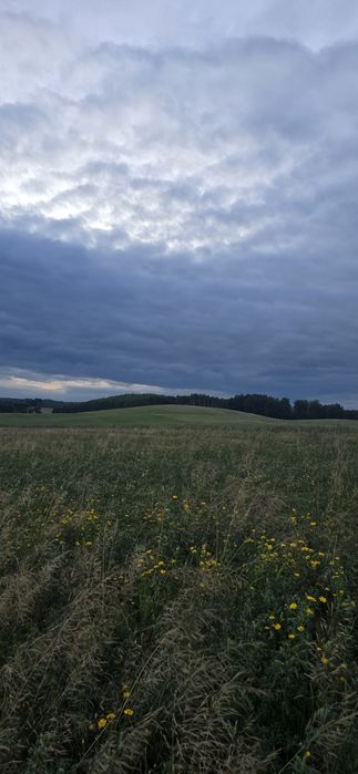 Sprzedam działke w Borzytuchomiu
