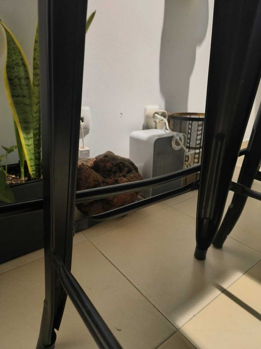 Mesa alta com tampo de de madeira natural e duas cadeiras