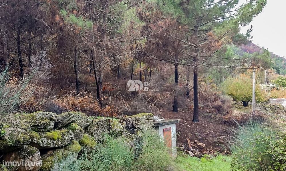 Terreno 8835m² - Távora