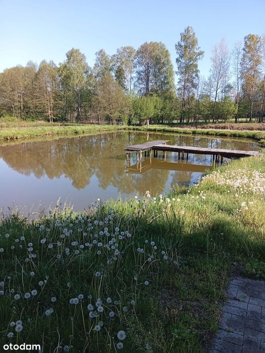 Działka rekreacyjna z domem i stawem