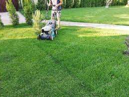 стрижка туй та декоративних рослин, косіння трави, стрижка газону