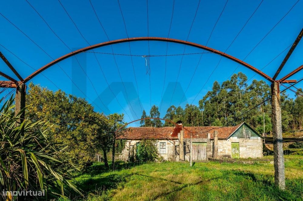 Quinta de 9.200 m2 com Moradia em Pedra | 30min do Porto (Próximo à Al