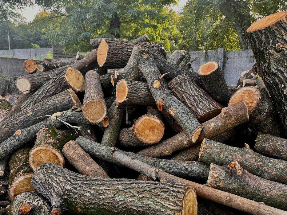 Дрова акация, ясень, клен, берест