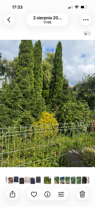 Działka rekreacyjna