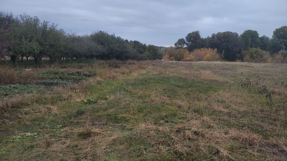 Будинок. Полтавська область, Гребінківський район, село Польове