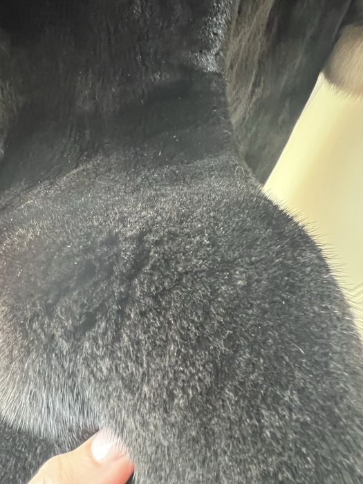 Шубка норка blackglama з соболем, casiani, xs-s