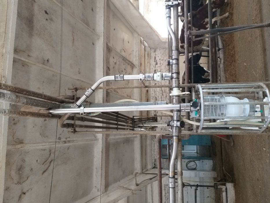 Міні ферма, молокопровод, вакуумна лінія для домашніх господарств.