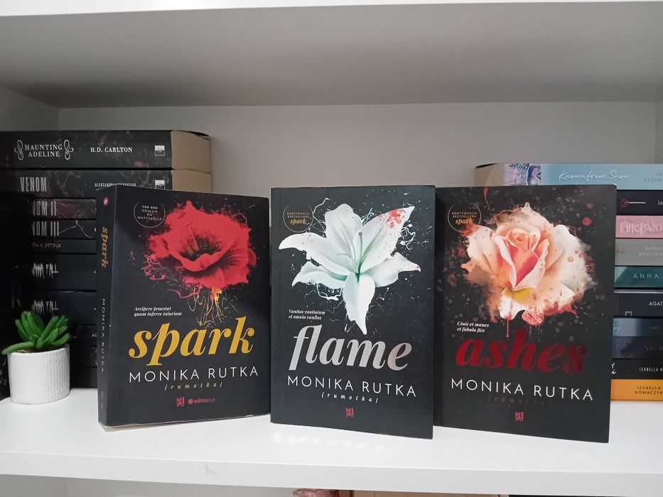 Spark Flame Ashes Monika Rutka
