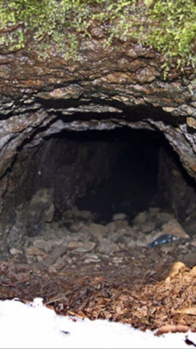 Земельна ділянка можливий обмін