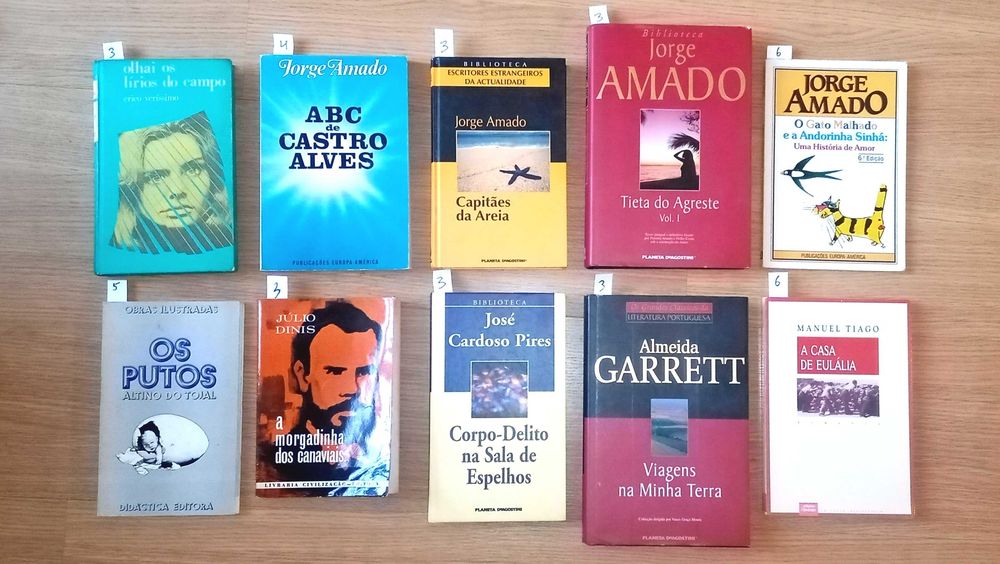 Vários livros (música, arte, literatura, técnicos, etc)