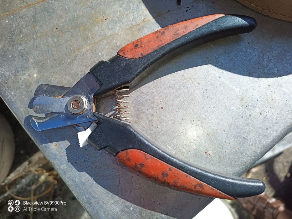 5 utensílios para cão de grande porte429755187426775043