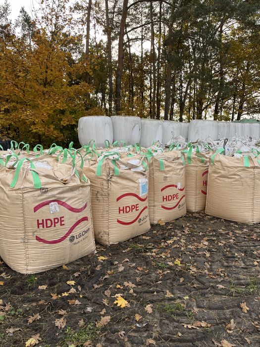 Mielona kukurydza Ccm 2025 cena za tonę