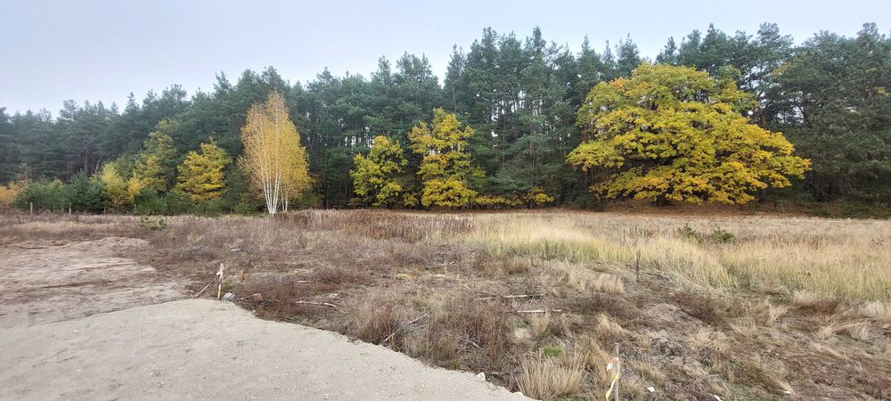 Przepiękna działka z lasem w Dobieszu - Widok 2