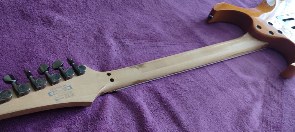 Електрогітара Ibanez rg320FM