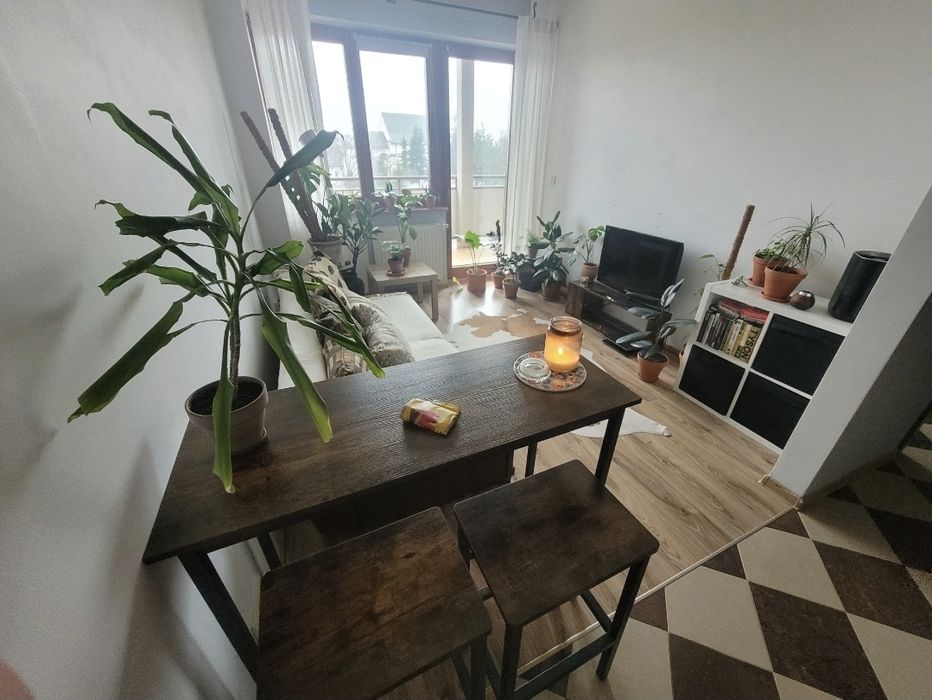 Wynajmę mieszkanie 40 mkw, ul. NOWA 8