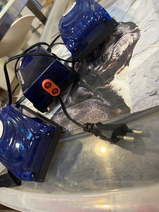 Pack bombas saída dupla