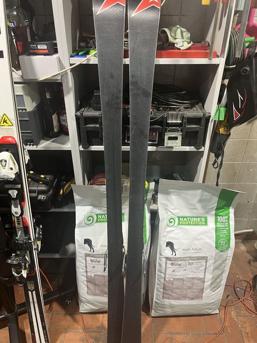 Narty atomic fis sl 165cm komórka