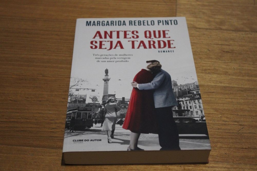 Antes que seja Tarde (Margarida Rebelo Pinto)