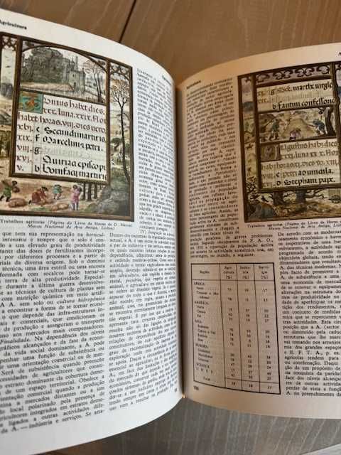 Enciclopédia Luso-Brasileira Verbo