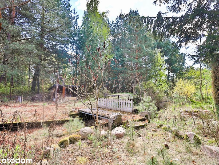 Cudna działka do stworzenia ogrodu jak z bajki! - Widok 2