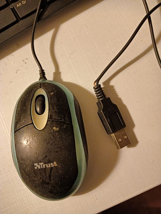 3 ratos com cabo64740663157507122