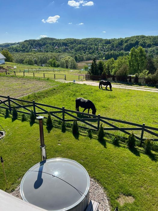 Domek na Kaszubach z balią i sauną-wolne  Wielkanoc!