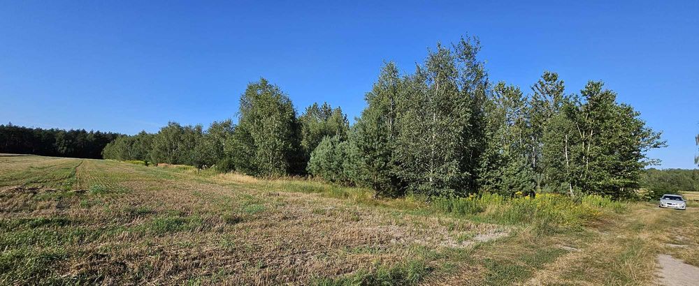 Grunt rolny 1,6963 ha – RIVa / RVI – Wodynie